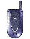 Best available price of Motorola V66i in Angola